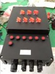 BXD8050-12/32K200防爆防腐动力配电箱
